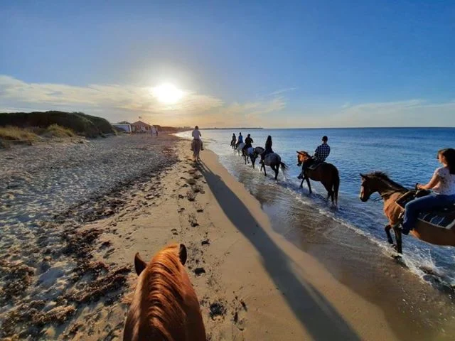 Centro Equestre Parco di mare